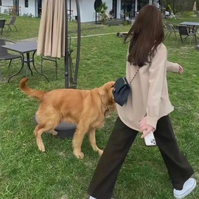 噩兆